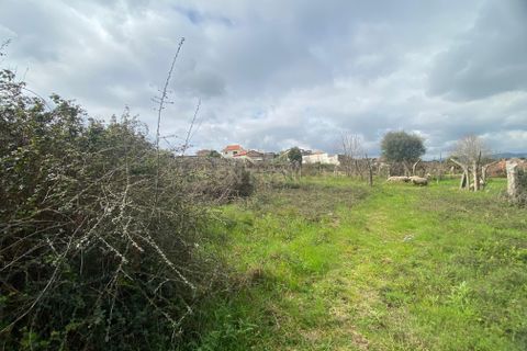 Helårsgrund i Moncao, Viana do Castelo, Moncao - € 35.000 | Ref: C0393-01442 - foto 11