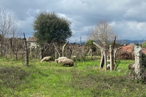Helårsgrund i Moncao, Viana do Castelo, Moncao - € 35.000 | Ref: C0393-01442 - foto 12