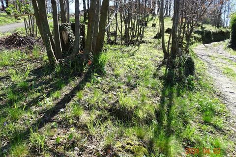 Helårsgrund i Ello, Lecco, Ello - € 120.000 | Ref: 253T - foto 7