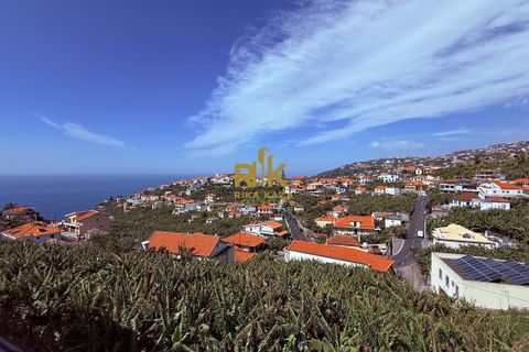 Villa i Ponta do Sol, Madeira, Ponta do Sol - € 1.450.000 | Ref: RK11957 - foto 10