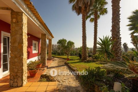 Villa i Alenquer, Lisbon, Alenquer - € 595.000 | Ref: IMO-113899 - foto 45
