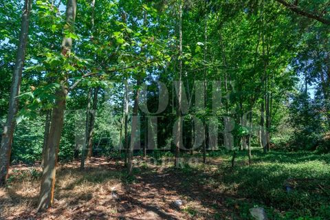 Villa i Penafiel, Porto, Penafiel - € 1.230.000 | Ref: HT_7141 - foto 31