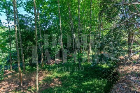 Villa i Penafiel, Porto, Penafiel - € 1.230.000 | Ref: HT_7141 - foto 32