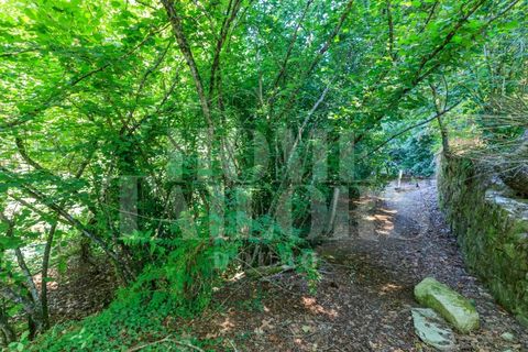 Villa i Penafiel, Porto, Penafiel - € 1.230.000 | Ref: HT_7141 - foto 33