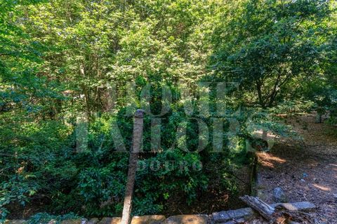 Villa i Penafiel, Porto, Penafiel - € 1.230.000 | Ref: HT_7141 - foto 34