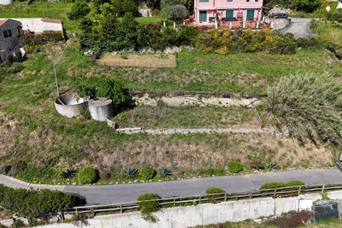 Helårsgrund i Ventimiglia, Imperia, Ventimiglia - € 390.000 | Ref: 23781 - foto 7
