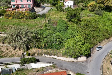 Helårsgrund i Ventimiglia, Imperia, Ventimiglia - € 390.000 | Ref: 23781 - foto 8