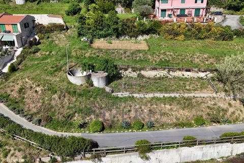Helårsgrund i Ventimiglia, Imperia, Ventimiglia - € 390.000 | Ref: 23781 - foto 10