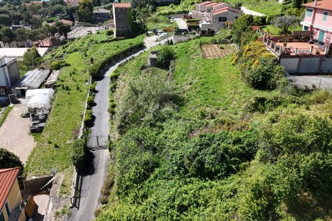 Helårsgrund i Ventimiglia, Imperia, Ventimiglia - € 390.000 | Ref: 23781 - foto 14