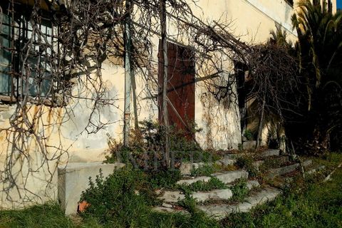 Villa i Ventimiglia, Imperia, Ventimiglia - € 11.400.000 | Ref: 23782 - foto 6