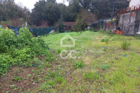 Helårsgrund i Valongo, Porto, Valongo - € 128.500 | Ref: 335/T/02176 - foto 1