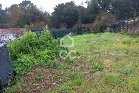 Helårsgrund i Valongo, Porto, Valongo - € 128.500 | Ref: 335/T/02176 - foto 3