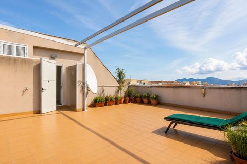 Penthouse i Pollenca, Mallorca, Pollenca - € 449.000 | Ref: P002690/10684 - foto 31