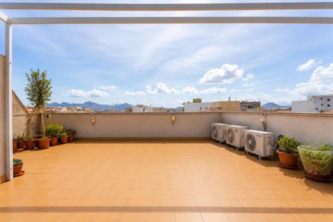 Penthouse i Pollenca, Mallorca, Pollenca - € 449.000 | Ref: P002690/10684 - foto 32