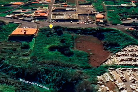 Terra a Tacoronte, Tenerife, Tacoronte - € 350.000 | Ref: 0067-04619/2961 - foto 6