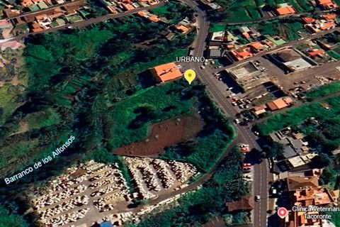 Terra a Tacoronte, Tenerife, Tacoronte - € 350.000 | Ref: 0067-04619/2961 - foto 7