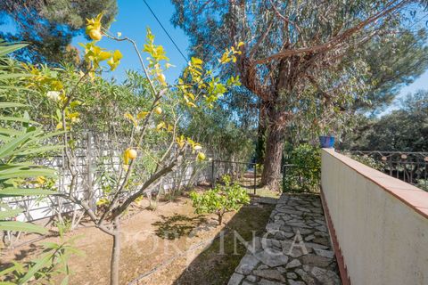 Villa i Calonge, Gerona, Calonge - € 594.000 | Ref: 1560/9569 - foto 13