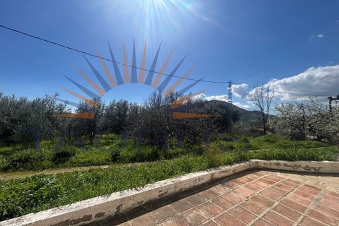 Villa a Periana, Malaga, Periana - € 575.000 | Ref: MS436 - foto 32