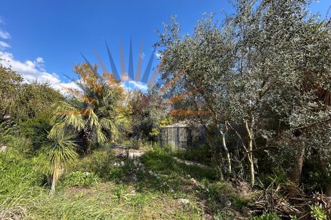 Villa a Periana, Malaga, Periana - € 575.000 | Ref: MS436 - foto 37
