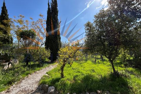 Villa a Periana, Malaga, Periana - € 575.000 | Ref: MS436 - foto 39