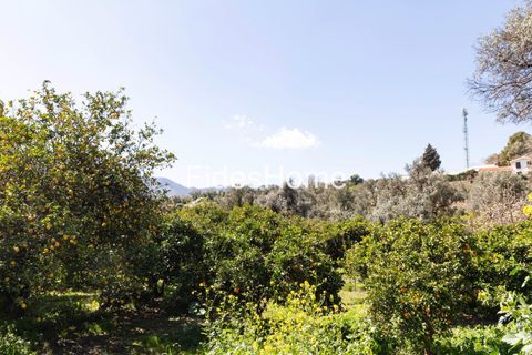 Terra a Lecrin, Granada, Lecrin - € 65.000 | Ref: 110934473 - foto 2