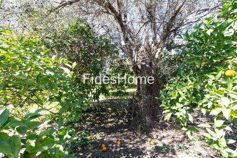 Terra a Lecrin, Granada, Lecrin - € 65.000 | Ref: 110934473 - foto 4