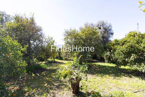 Terra a Lecrin, Granada, Lecrin - € 65.000 | Ref: 110934473 - foto 5
