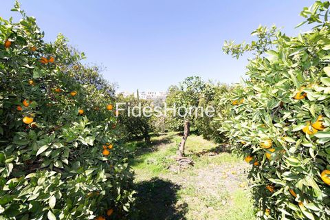 Terra a Lecrin, Granada, Lecrin - € 65.000 | Ref: 110934473 - foto 6