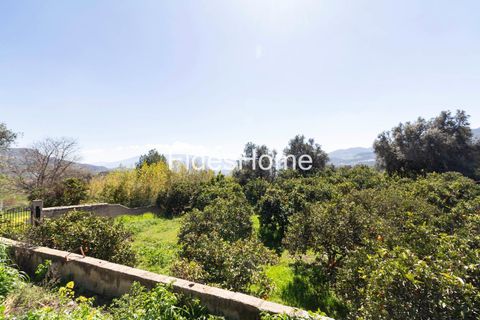 Terra a Lecrin, Granada, Lecrin - € 65.000 | Ref: 110934473 - foto 7
