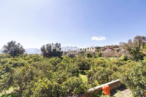 Terra a Lecrin, Granada, Lecrin - € 65.000 | Ref: 110934473 - foto 8