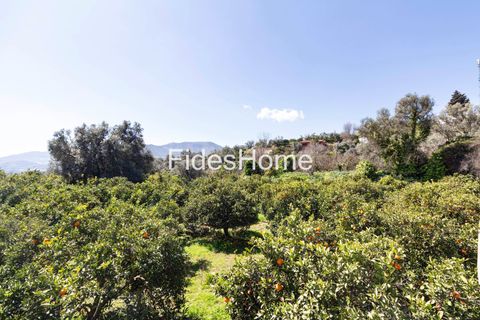 Terra a Lecrin, Granada, Lecrin - € 65.000 | Ref: 110934473 - foto 9