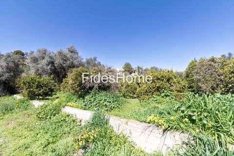 Terra a Lecrin, Granada, Lecrin - € 65.000 | Ref: 110934473 - foto 10