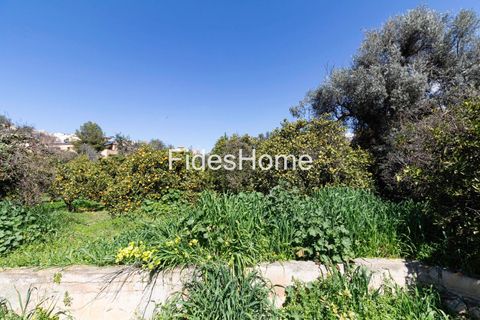 Terra a Lecrin, Granada, Lecrin - € 65.000 | Ref: 110934473 - foto 11