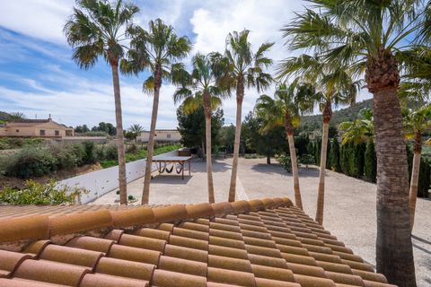 Villa i Novelda, Alicante, Novelda - € 499.950 | Ref: CF3314 - foto 46