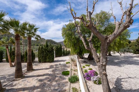 Villa i Novelda, Alicante, Novelda - € 499.950 | Ref: CF3314 - foto 47