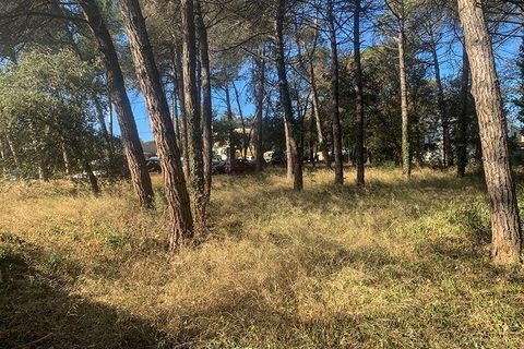 Terra a Vacarisses, Barcelona, Vacarisses - € 110.000 | Ref: EXP13660/8930 - foto 2