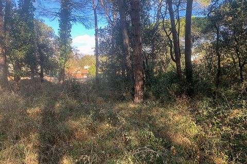 Terra a Vacarisses, Barcelona, Vacarisses - € 110.000 | Ref: EXP13660/8930 - foto 7