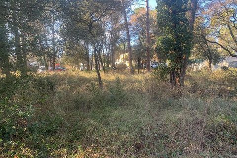 Terra a Vacarisses, Barcelona, Vacarisses - € 110.000 | Ref: EXP13660/8930 - foto 8