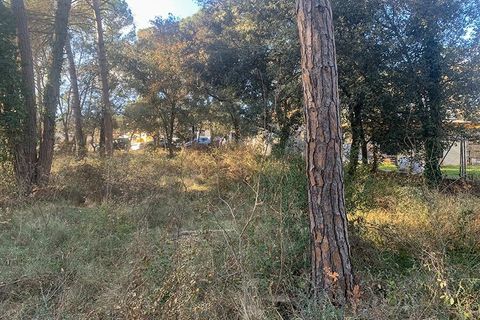 Terra a Vacarisses, Barcelona, Vacarisses - € 110.000 | Ref: EXP13660/8930 - foto 9