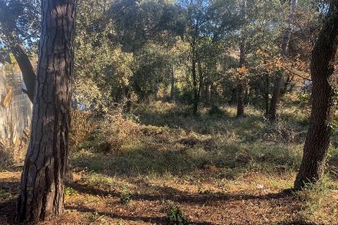 Terra a Vacarisses, Barcelona, Vacarisses - € 110.000 | Ref: EXP13660/8930 - foto 10