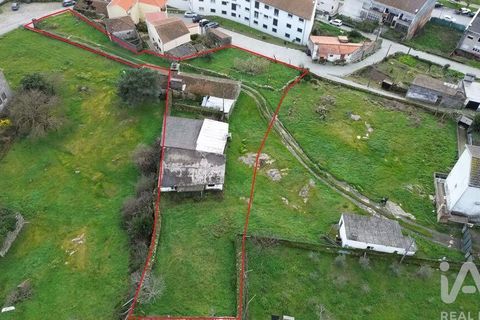 Terra a Alijo, Vila Real, Alijo - € 80.000 | Ref: 824294 - foto 2