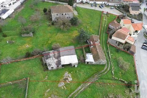 Terra a Alijo, Vila Real, Alijo - € 80.000 | Ref: 824294 - foto 3