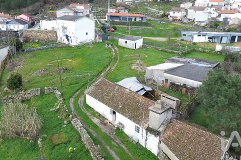 Terra a Alijo, Vila Real, Alijo - € 80.000 | Ref: 824294 - foto 5