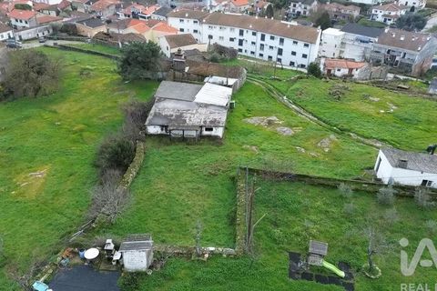 Terra a Alijo, Vila Real, Alijo - € 80.000 | Ref: 824294 - foto 7