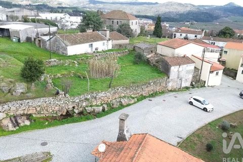 Terra a Alijo, Vila Real, Alijo - € 80.000 | Ref: 824294 - foto 12