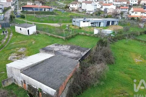 Terra a Alijo, Vila Real, Alijo - € 80.000 | Ref: 824294 - foto 14
