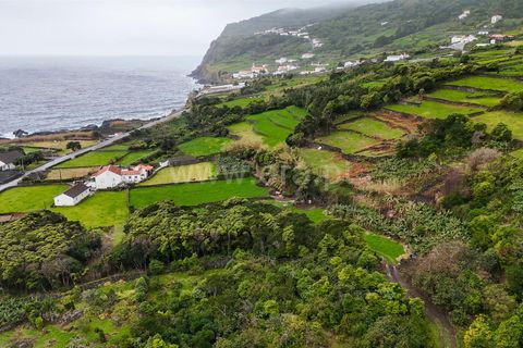 Villa i Lajes do Pico, Pico, Lajes do Pico - € 548.000 | Ref: 374260017 - foto 5