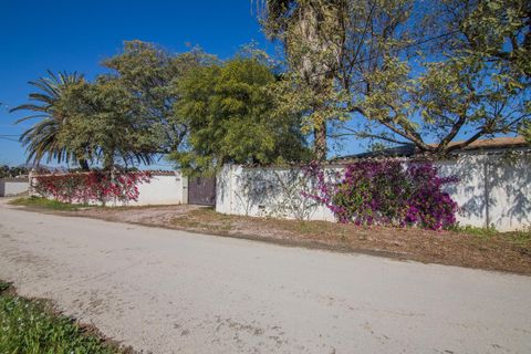 Villa a Catral, Alicante, Catral - € 189.000 | Ref: MM05565/7663 - foto 48