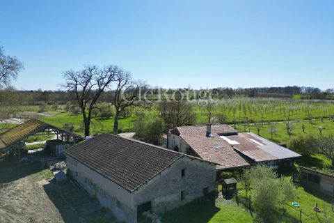 Villa a Eymet, Dordogne, Eymet - € 455.800 | Ref: CTB127 - foto 30