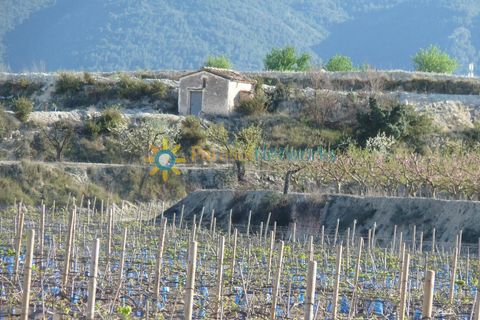 Terra a Belgida, Valencia, Belgida - € 125.000 | Ref: PNPT211 - foto 16